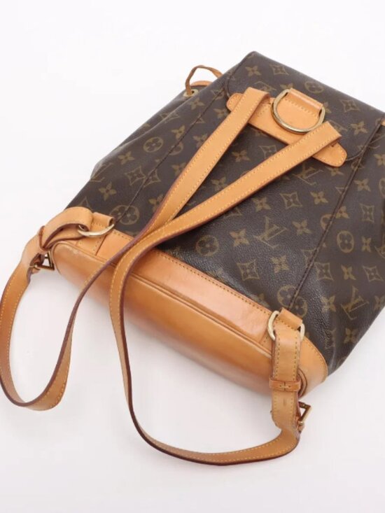 Louis Vuitton Monogram Montsouris MM main image 5